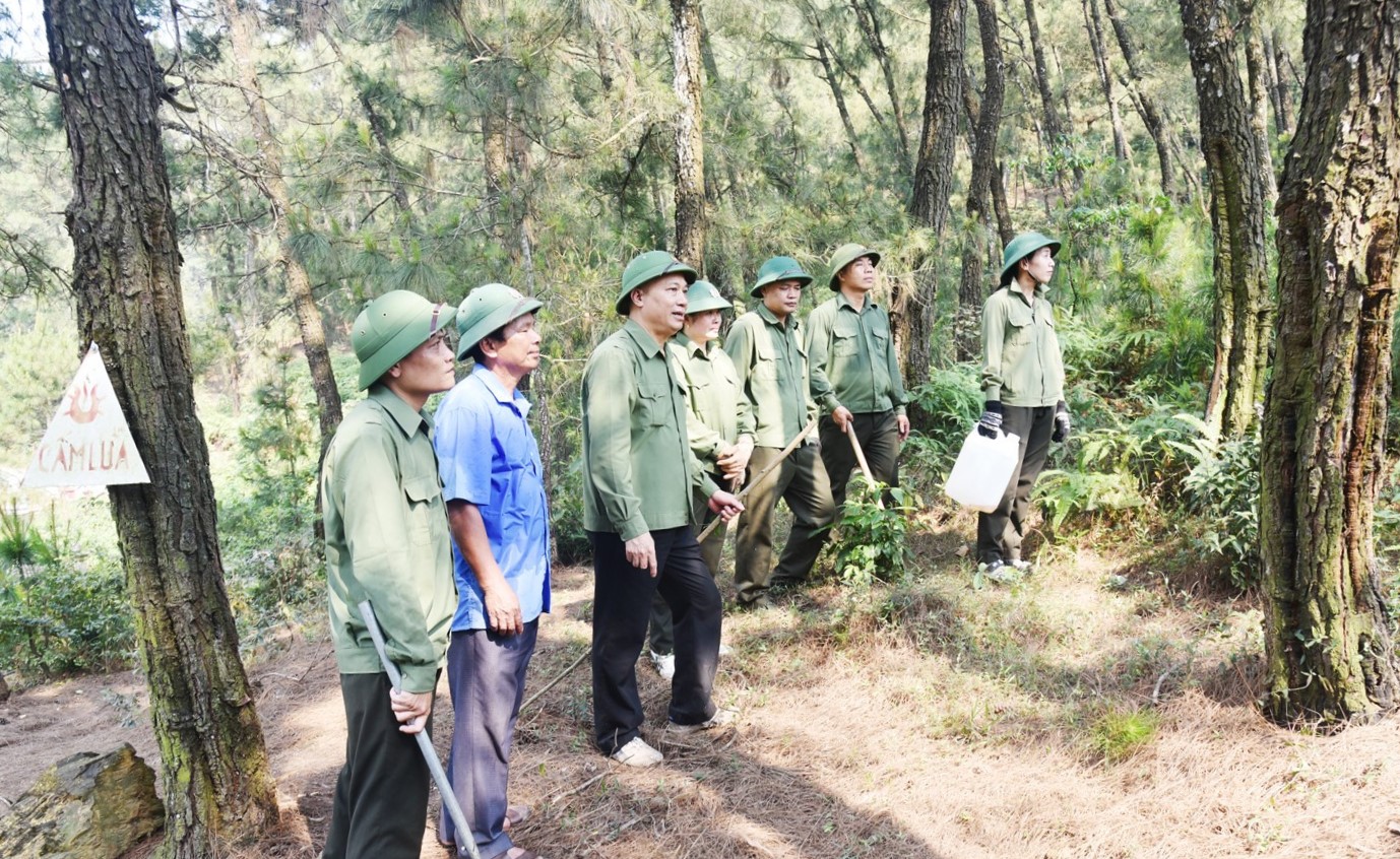 THÔNG BÁO THÔNG TIN  CẤP DỰ BÁO CHÁY RỪNG 